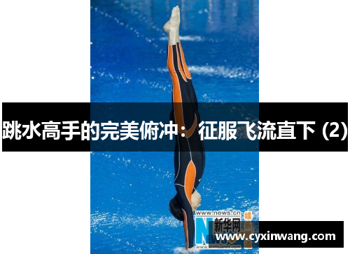 跳水高手的完美俯冲：征服飞流直下 (2)